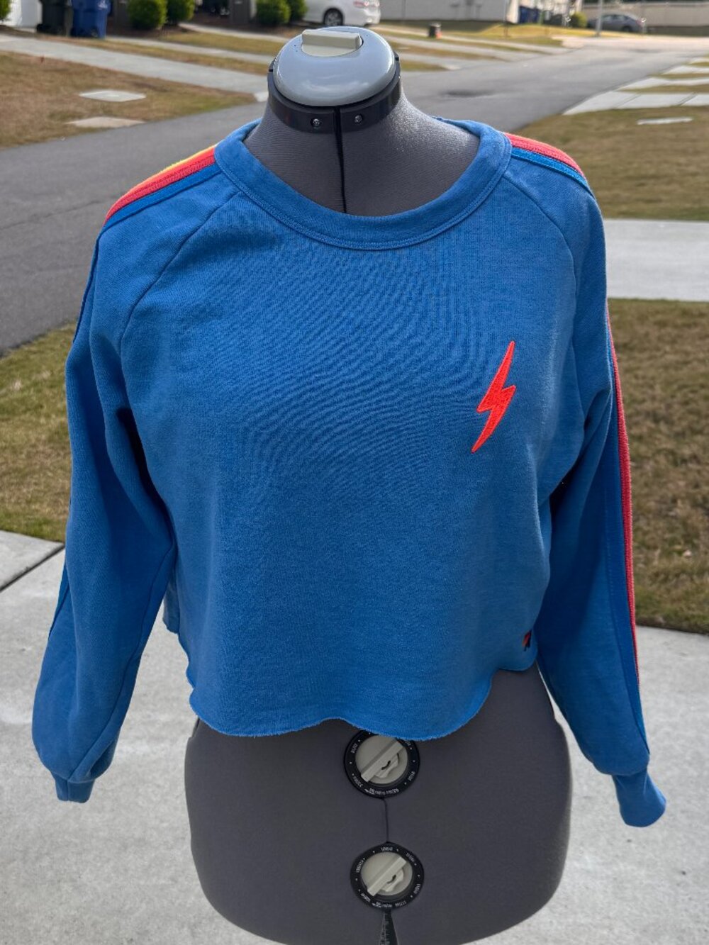 Aviator Nation Bolt Classic Cropped Crewneck Sweatshirt